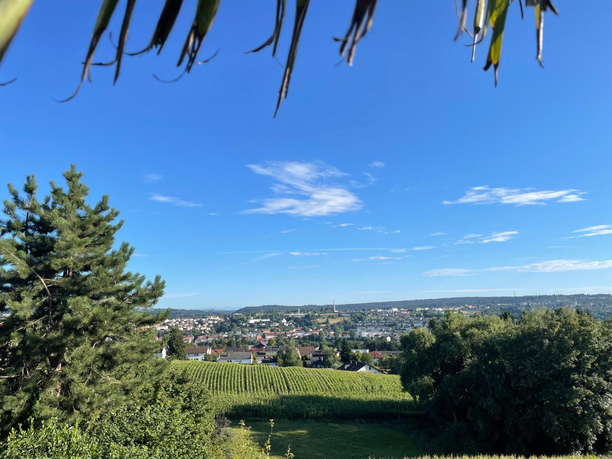 Tiny-House Mit Alpen- Stadt- Und Poolblick , Wlan Passau Luaran gambar
